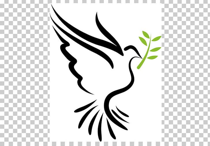 Columbidae Bible Doves As Symbols Holy Spirit PNG, Clipart, Beak, Bible, Bird, Black And White, Branch Free PNG Download