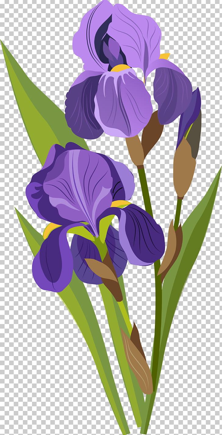 Drawing Tulip PNG, Clipart, Beautiful, Cartoon, Cattleya, Floral, Flower Free PNG Download