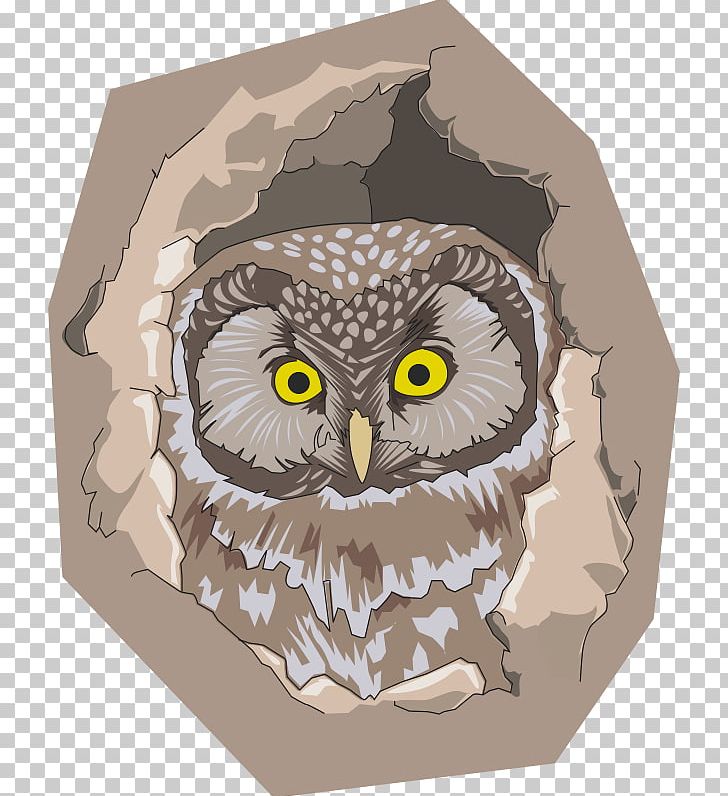 Owl Bird Tree Hollow PNG, Clipart, Animals, Beak, Bird, Bird Nest, Bird Of Prey Free PNG Download