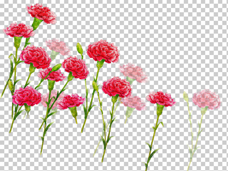 Artificial Flower PNG, Clipart, Artificial Flower, Carnation, Cockscomb, Cut Flowers, Dianthus Free PNG Download