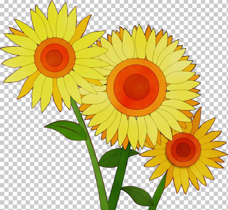 Floral Design PNG, Clipart, Common Sunflower, Cut Flowers, Floral Design, Flower, Paint Free PNG Download