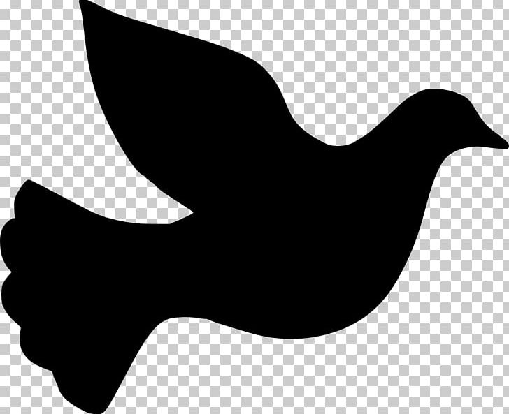 Columbidae Silhouette Dove PNG, Clipart, Animals, Beak, Bird, Black And White, Clip Art Free PNG Download