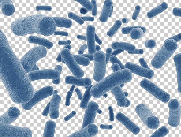 Human Microbiome Project Dietary Supplement Disease Gut Flora Microbiota PNG, Clipart, Animals, Antimicrobial Resistance, Bacteria, Biological, Blue Free PNG Download