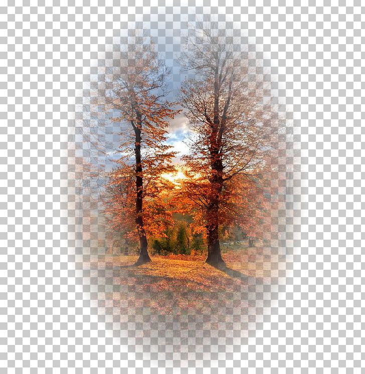 Landscape Photography Autumn Nature Photography PNG, Clipart, Autumn, Cari, Cloud, Computer Wallpaper, Landscape Free PNG Download