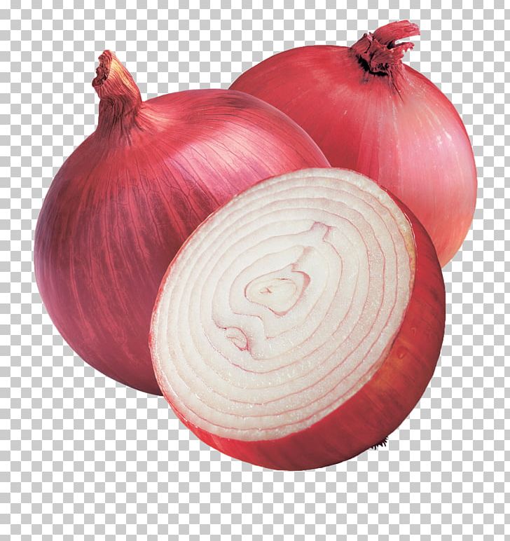 Red Onion Vegetable White Onion Food PNG, Clipart, Allium Fistulosum, Cashew, Cooking, Food, Fresh Free PNG Download