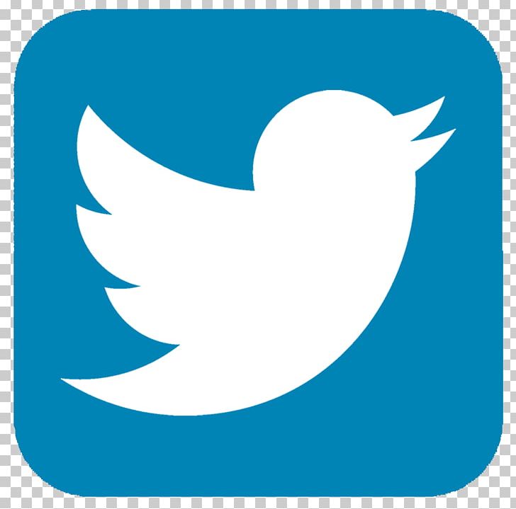 Social Media Computer Icons Logo PNG, Clipart, Area, Artwork, Beak, Bird, Computer Icons Free PNG Download