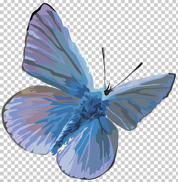 Butterfly PhotoScape PNG, Clipart, Arthropod, Blue, Butterflies And Moths, Butterfly, Encapsulated Postscript Free PNG Download