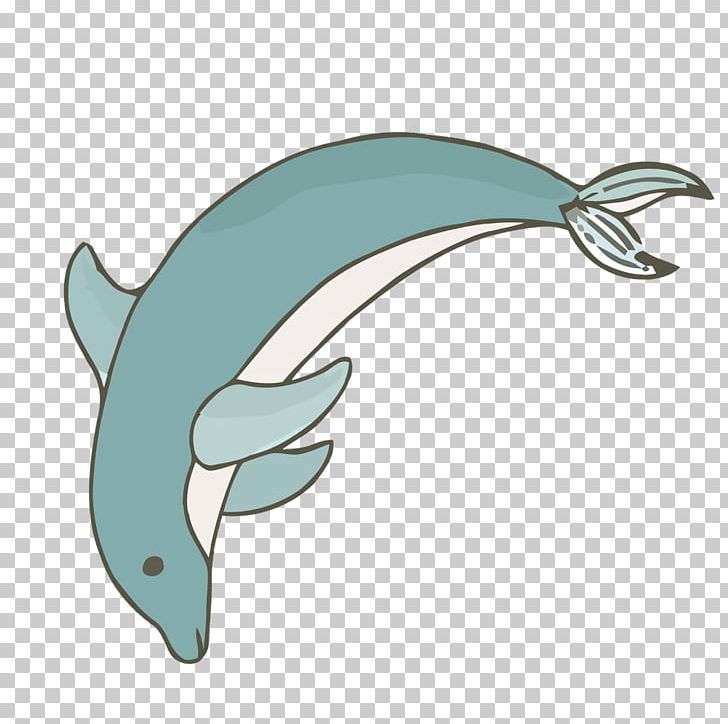 Dolphin Porpoise Euclidean PNG, Clipart, Animals, Designer, Dolphins, Fauna, Happy Birthday Vector Images Free PNG Download