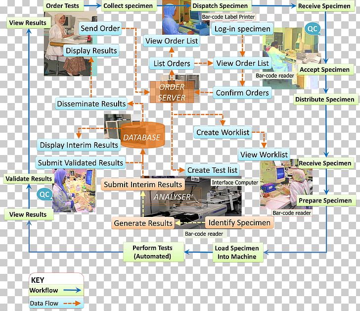 Laboratory Information Management System Medical Laboratory Pathology Histology PNG, Clipart, Anatomical Pathology, Area, Clinical Pathology, Diagram, Digital Pathology Free PNG Download