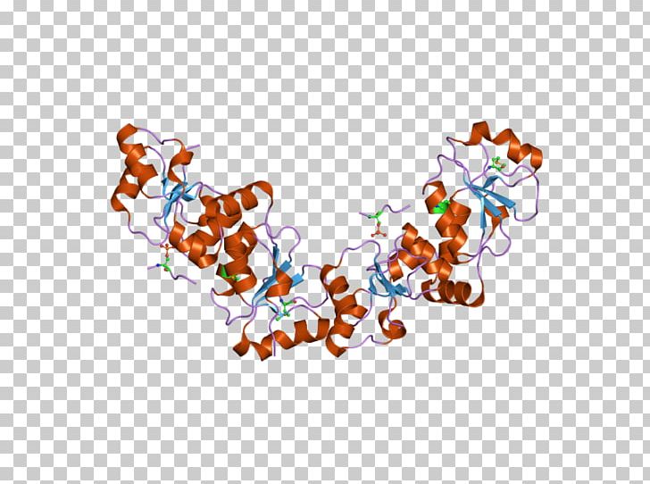 MDC1 H2AFX Cell Cycle Checkpoint DNA Protein PNG, Clipart, Amino Acid, Art, Cell Cycle Checkpoint, Computer Wallpaper, Dna Free PNG Download