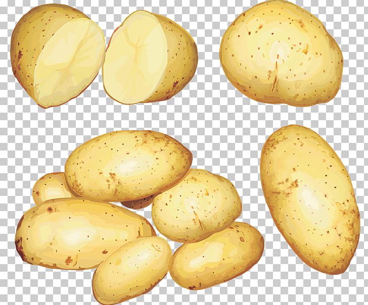 Russet Burbank Potato Vegetable Watercolor Painting PNG, Clipart, Download, Fingerling Potato, Food, Food Drinks, Painting Free PNG Download