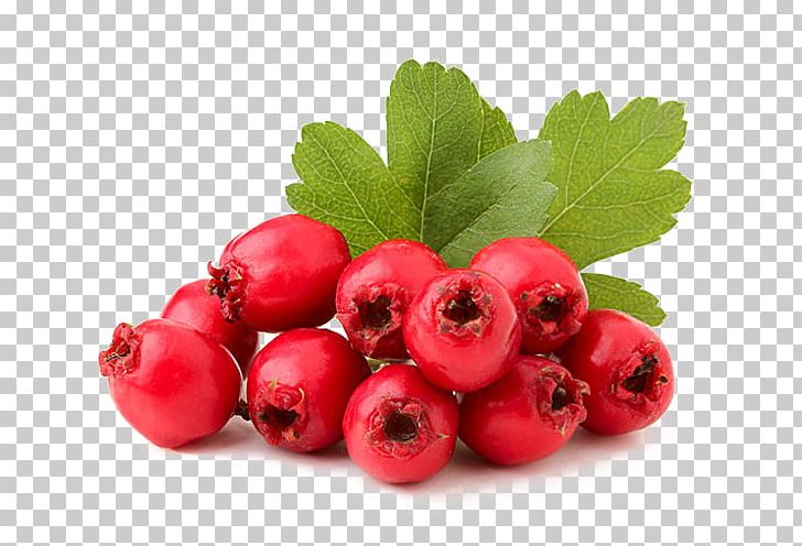 Skin Food Cream Cranberry Xeroderma PNG, Clipart, Acerola, Acerola Family, Atopic Dermatitis, Berry, Currant Free PNG Download