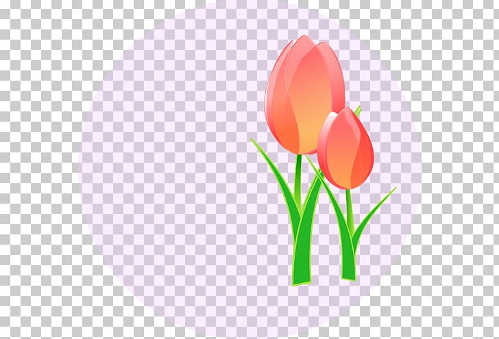 Tulip PNG, Clipart, Clip Art, Computer Wallpaper, Desktop Wallpaper, Download, Drawing Free PNG Download