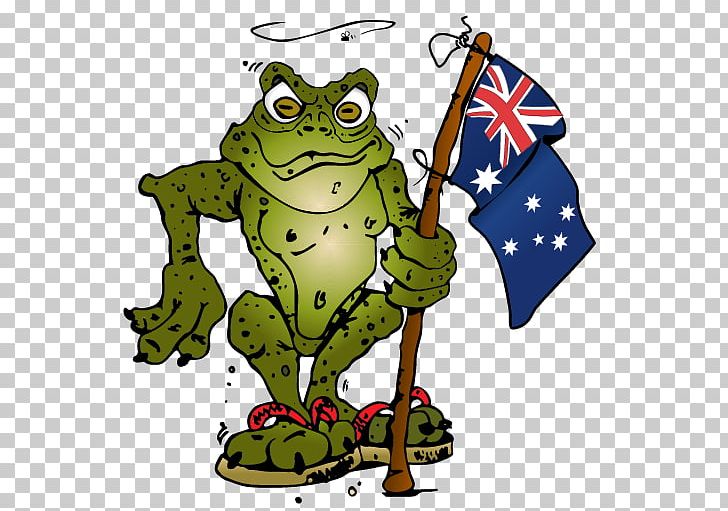 Cane Toads In Australia Frog PNG, Clipart, African Bullfrog, American Bullfrog, Amphibian, Animals, Artwork Free PNG Download