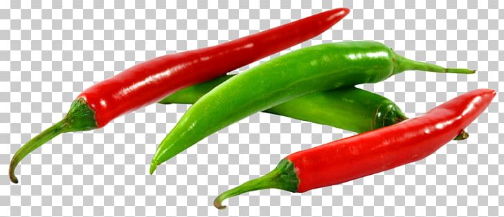 Chili Pepper Capsicum Mandi Jalapexf1o Taco PNG, Clipart, Bell Pepper, Bell Peppers And Chili Peppers, Birds Eye Chili, Cayenne Pepper, Chili Free PNG Download