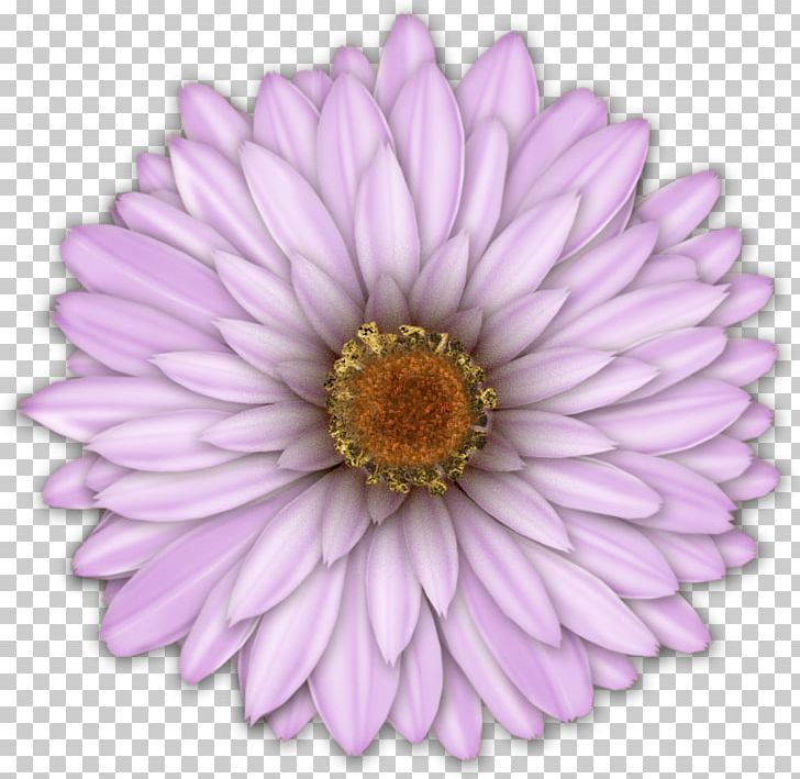 Flower Art Watercolor Painting PNG, Clipart, Annual Plant, Art, Aster, Chrysanths, Color Free PNG Download