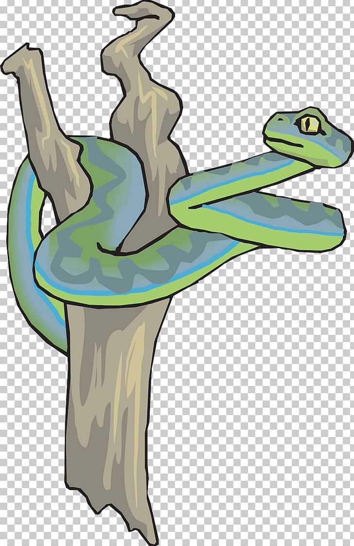 Brown Tree Snake PNG, Clipart, Amphibian, Animals, Art, Branch, Brown Tree Snake Free PNG Download