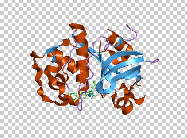 Cathepsin K Bromelain Cysteine Protease Crystal Structure PNG, Clipart, Active Site, Art, Bromelain, Cathepsin, Cathepsin K Free PNG Download