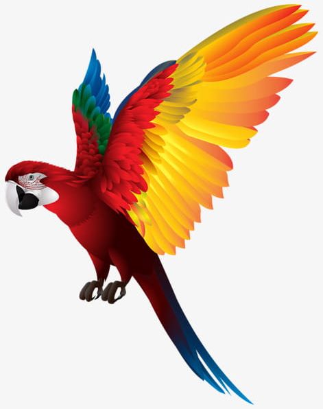 Colored Parrot Feathers PNG, Clipart, Animal, Animals In The Wild, Animal Wing, Backgrounds, Beak Free PNG Download