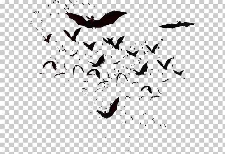Flock Bird Migration Crane Beak PNG, Clipart, Animal Migration, Animals, Beak, Bird, Bird Migration Free PNG Download