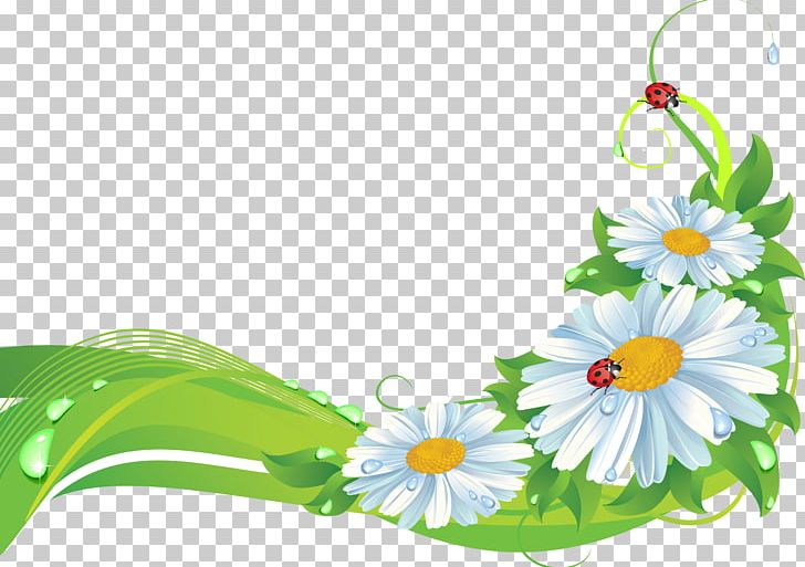Flower Frames Stock Photography PNG, Clipart, Camomile, Common Daisy, Computer Wallpaper, Daisy, Decorative Arts Free PNG Download