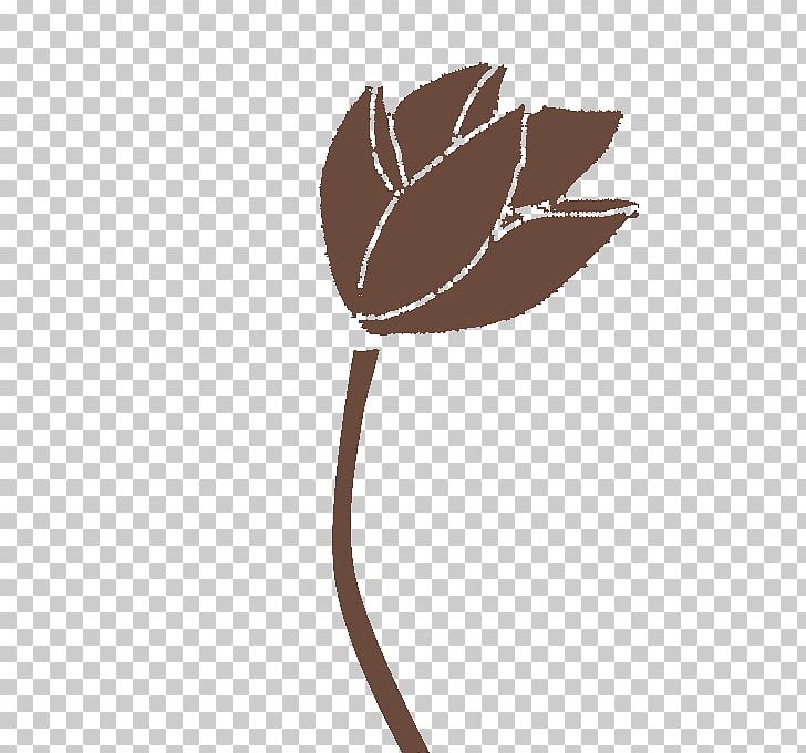 Nelumbo Nucifera PNG, Clipart, Brown, Brown Background, Brown Rice, Download, Flower Free PNG Download