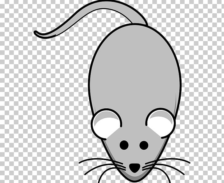 Rat House Mouse PNG, Clipart, Animals, Artwork, Black, Black And White, Carnivoran Free PNG Download