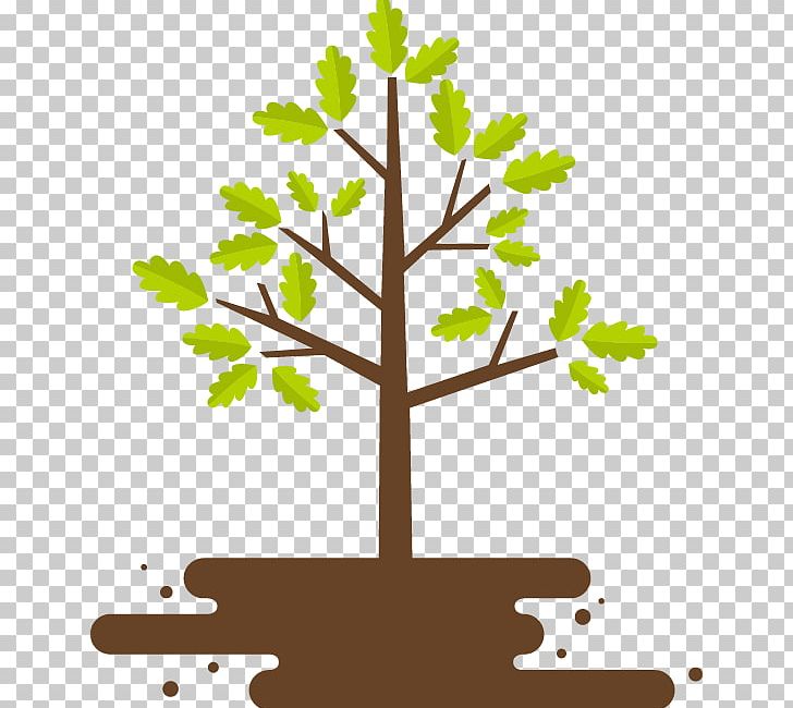 Tree Planting Portable Network Graphics Wall Decal PNG, Clipart, Birch, Branch, Decal, Flowering Plant, Forest Free PNG Download