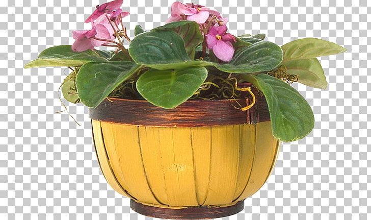 Window Московские окна Flowerpot .ru Mansard Roof PNG, Clipart, Flower, Flowerpot, Furniture, Herb, Houseplant Free PNG Download