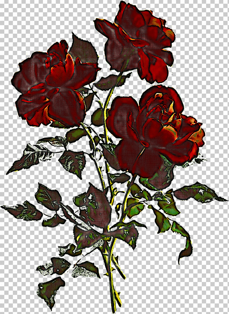 Three Flowers Three Roses Stem PNG, Clipart, China Rose, Floribunda, Flower, Garden Roses, Geranium Free PNG Download