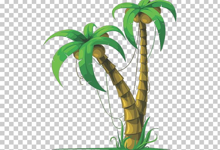 Arecaceae Coconut Tree PNG, Clipart, Arecaceae, Arecales, Coconut, Coconut Tree, Drawing Free PNG Download