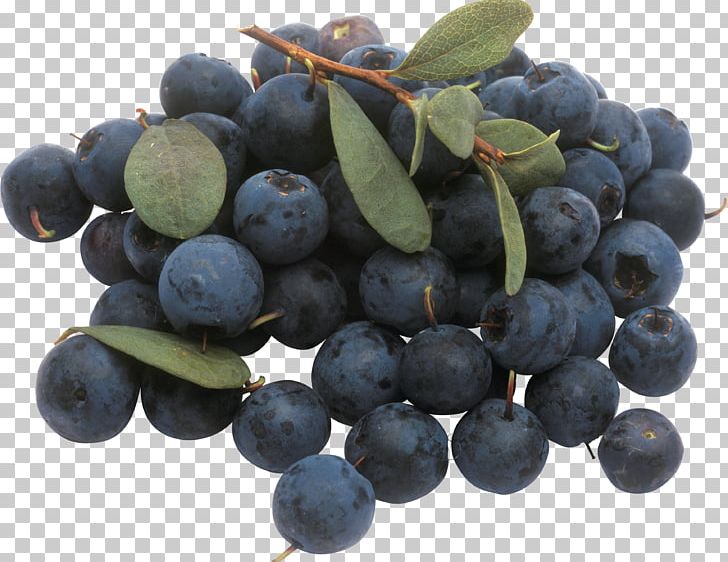 Blueberry Icon PNG, Clipart, Bilberry, Blueberries, Blueberries Png, Blueberry, Cheesecake Free PNG Download
