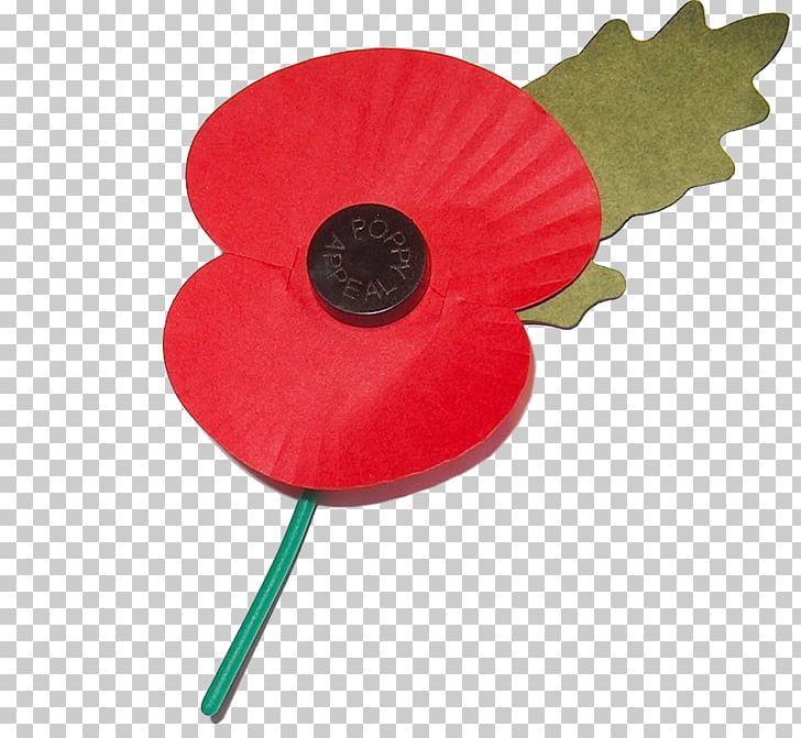 In Flanders Fields First World War Remembrance Poppy Armistice Day PNG, Clipart, Armistice Day, Comm, Common Poppy, Coquelicot, First World War Free PNG Download