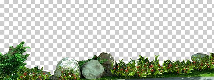 Rocks Free Garden Stone PNG, Clipart, Android, Biome, Download, Element, Flora Free PNG Download