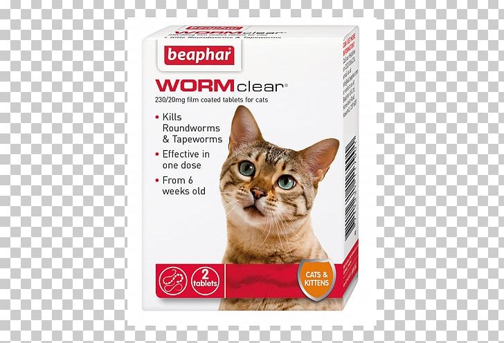 Cat Health Kitten Worm Dog PNG, Clipart, Animals, Carnivoran, Cat, Cat Health, Cat Like Mammal Free PNG Download