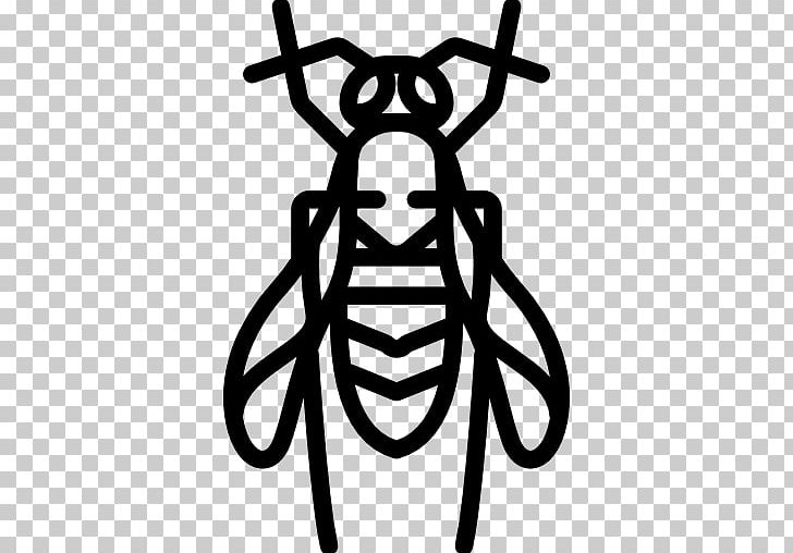 Computer Icons Insect Entomology PNG, Clipart, Animal, Animals, Artwork, Black And White, Computer Icons Free PNG Download