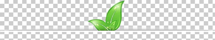 Leaf Product Design Desktop Plant Stem PNG, Clipart, Computer, Computer Wallpaper, Desktop Wallpaper, Family, Flower Free PNG Download
