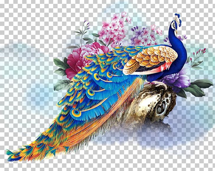 Peafowl Rangoli PNG, Clipart, Animals, Beak, Chine, Color, Disperse Dye Free PNG Download