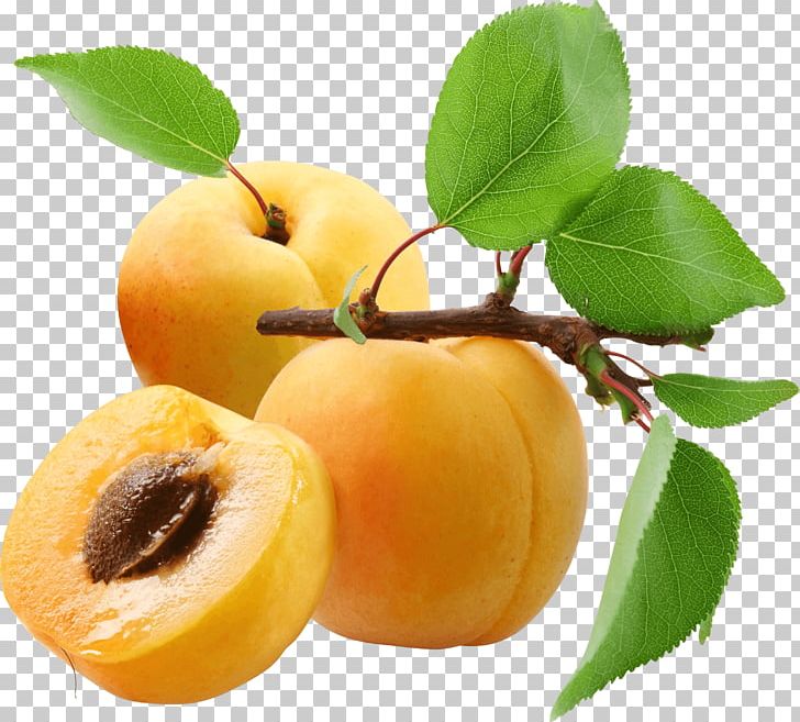 Three Peaches PNG, Clipart, Food, Fruits, Peaches Free PNG Download