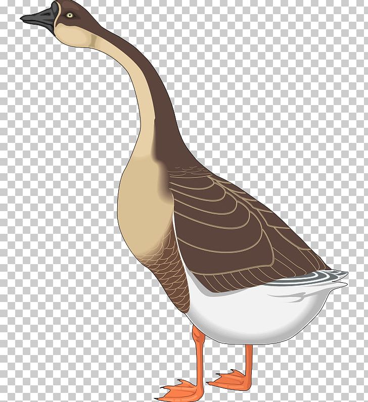 Canada Goose Mother Goose Nene Duck PNG, Clipart, Beak, Bird, Branta, Canada Goose, Domestic Goose Free PNG Download