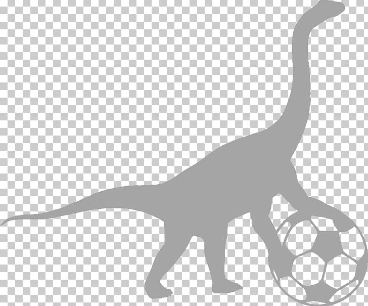 Drobeta-Turnu Severin Juniori Sports Romania PNG, Clipart, Animal Figure, Black And White, Cat, Cat Like Mammal, Dinosaur Free PNG Download