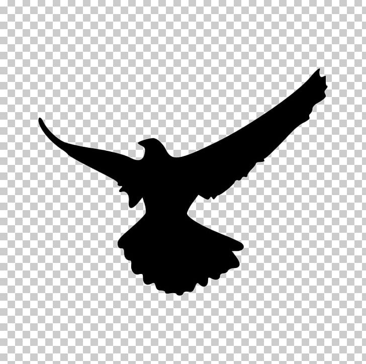 Falcon Silhouette PNG, Clipart, Animals, Art Clipart, Beak, Bird, Bird Of Prey Free PNG Download