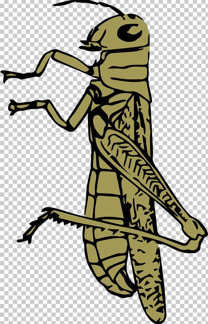 Grasshopper PNG, Clipart, Animal, Art, Artwork, Black And White, Brown Free PNG Download