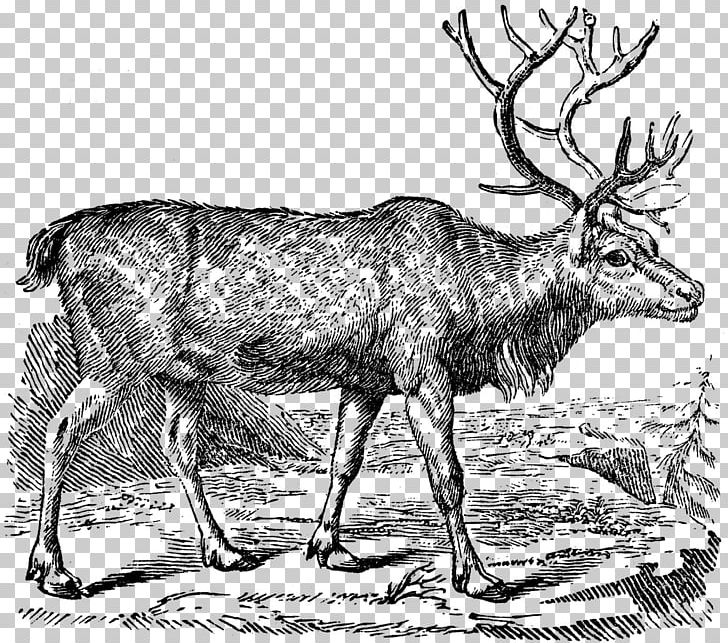 Reindeer Rudolph Black And White PNG, Clipart, Antelope, Antler, Black And White, Cartoon, Cattle Like Mammal Free PNG Download