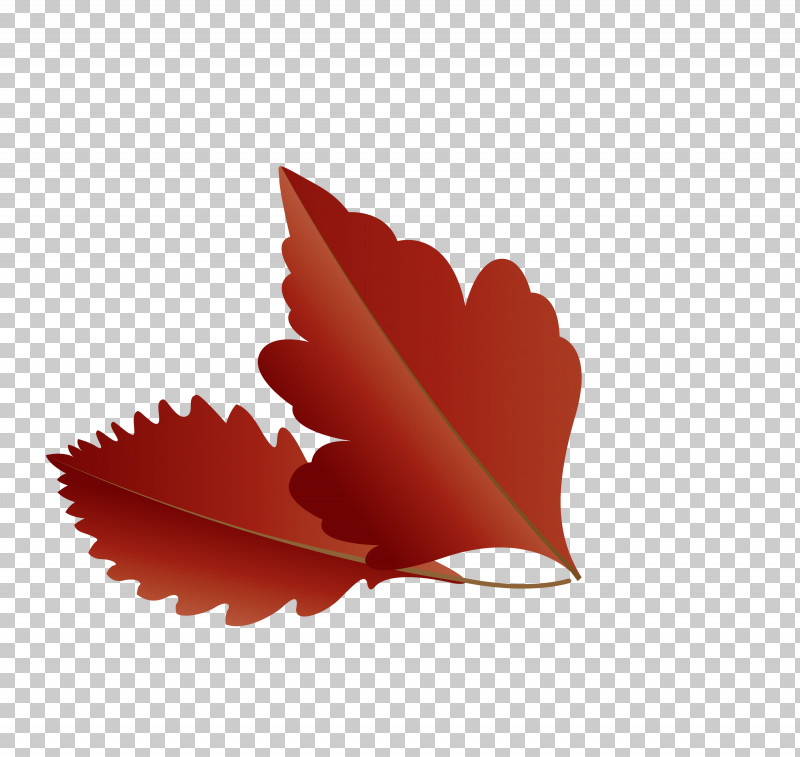 Maple Leaf PNG, Clipart, Autumn Leaf, Biology, Cartoon Leaf, Fall Leaf, Heart Free PNG Download