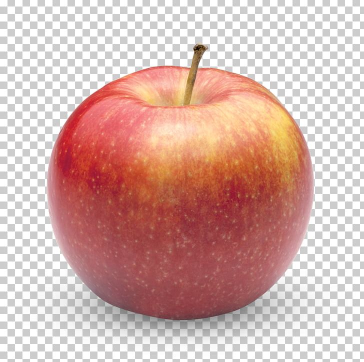 Apple Jonagold Fruit Orchard Navi Mumbai PNG, Clipart, Accessory Fruit, Appeal, Apple, Braeburn, Cripps Pink Free PNG Download