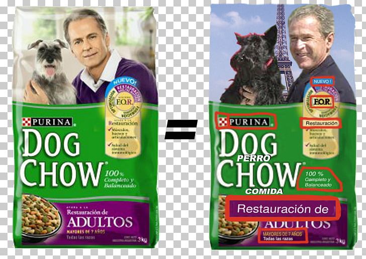 Dog Chow Dog Breed Dog Food Advertising PNG, Clipart, Advertising, Brand, Breed, Dog, Dog Breed Free PNG Download
