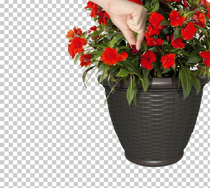 Floral Design Container Garden Cut Flowers Vase PNG, Clipart, Artificial Flower, Begonia, Container Garden, Cut Flowers, Dead Flowers Free PNG Download