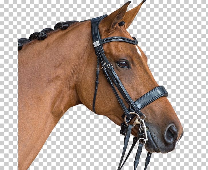 Horse Halter Bridle Rein Snaffle Bit PNG, Clipart, Animals, Bit, Bridle, Double Bridle, Dressage Free PNG Download