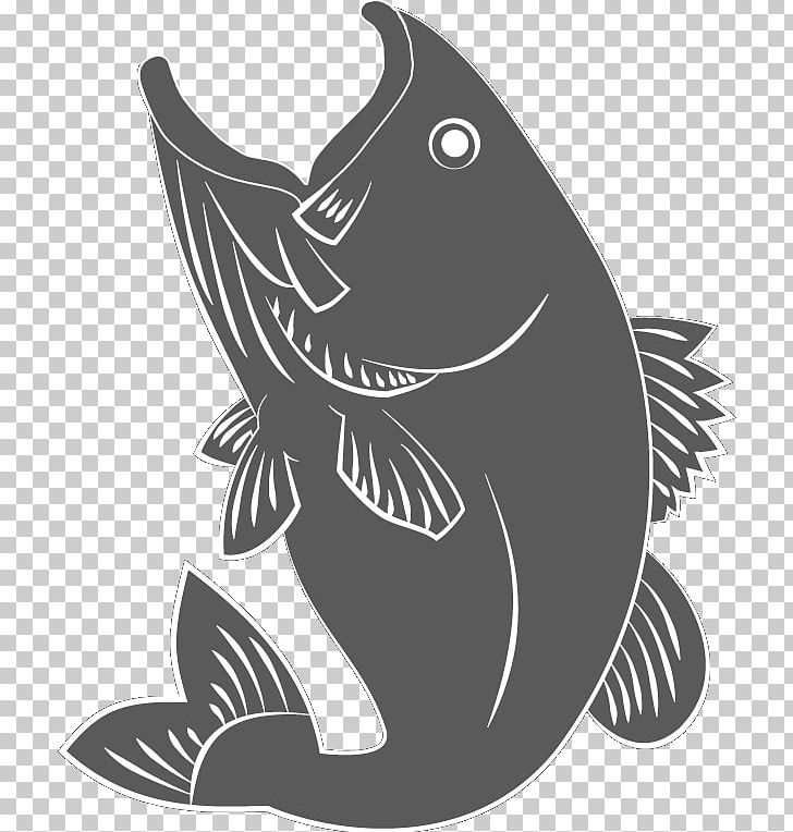 Marine Mammal White Fish Font PNG, Clipart, Black, Black And White, Black M, Catch, Catch A Fish Free PNG Download